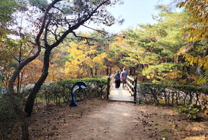 �Ȱ� ���� �� <105> ��� �ָ���� 1��2����