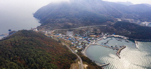 ������ Ȱ�ַΡ� ���� Ʋ�� �ػ�Ÿ��� 6000�� ���δ�