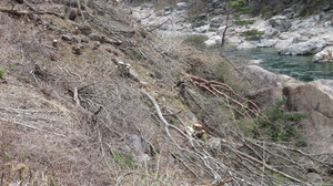 �������� �����ƴ� ���ε����Ծ� ������ �α� �� ���ϵϡ�