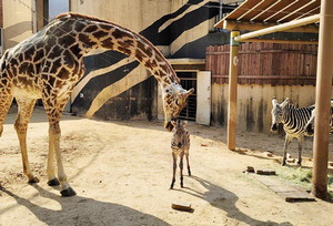 ��������ũ ���� 1���� ������������ Ȱ���� �� ��Ƴ���