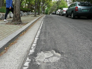 �λ����������� ���ֵ��� ����ƮȦ���� ����