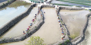 �Ծ籺 ��õ�� �ٶ���, ����������� ���� ����