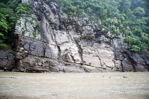 ���ݱ���ϰ�ȭ ���� ���衯 ��� �� ��� ���޿��� �̴� Ȯ��