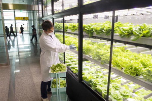 �λ� ���س��μ� ���翡 ÷�� ��������