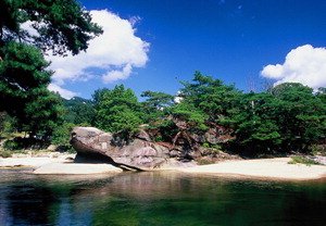 �����´롯 ��Ī ���� ��������â �ż� �ݹ�