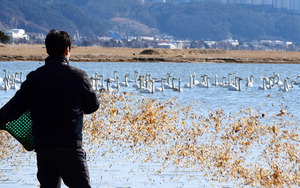 �������ϱ� ��� ū���ϼ� �������� AI ���� ù Ȯ��