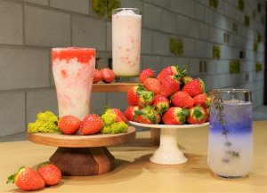 ��Ÿ���� �α����� ������� ���, ���� �� �ø� ������