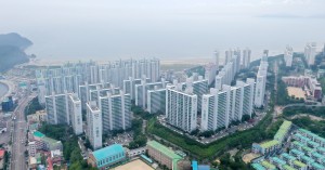 ������� ��ȭ���� DSR�� ����