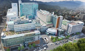 �λ�뺴���� �Ӹ� �̷�� ������, ��濣 ����ɽ�?