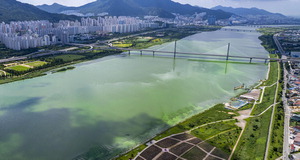 ��0������ ���ȸ������������ 19��, �ϴ�~��꼱 25�� ����