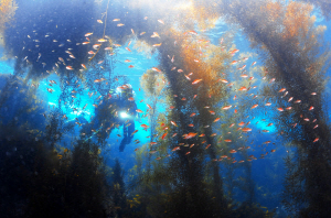 ���� ���� ����� �þ ���� ã�Ҵ�