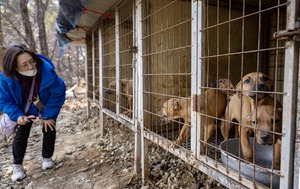 [����] ���߿����� Ű������������ �Ʒõ���, ������ ��ó ������