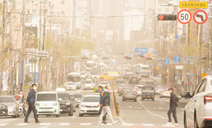 [���� Į��] ���� ��û��, Ȳ��