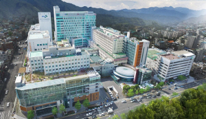 �λ�뺴�� �������� ������, 5�� �Ѱ� ��ô ����