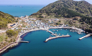 ������, TK �Ű��� Ư���� �ǰᡦ���� ���� ������ȵ� ���� �Ѿ�