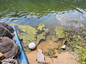 [����] ����, �۳⺸�� �Ѵ� �����١��������� ��� ��� �յ�