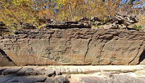 ���ݱ�õ �ϰ�ȭ�� �������� �ɻ縸 ���Ҵ�