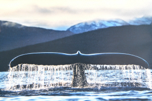 �ڼ����� ���ǿ���<46>���� �׸��� ����ü�� ź��