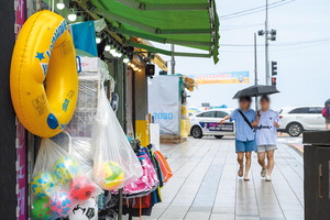 ���� �帶�� ������ ������ Ư����