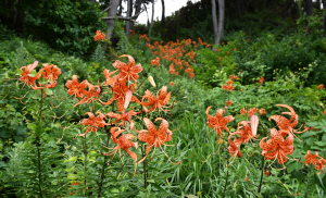 [�ڼ����� ��] ������ �� ���� ���� ��Ȳ��