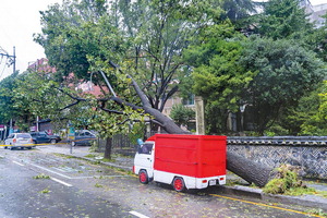 ���μ� ������ ���� ���ư�������ī������ ���� ����