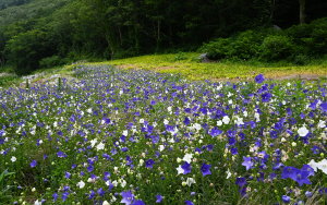 [�ڼ����� ��]���� õ�Ŀ� ���ơ��ο信 ������ ��ŭ ģ��