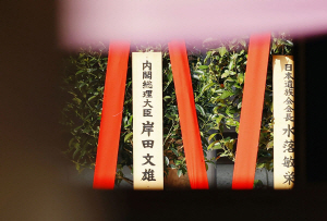 �� ���� �� �߽����� ����, �Ѹ��� ������������� 