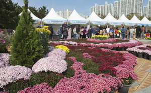 [���䴺��] �λ������ڶ�ȸ