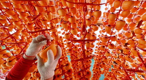 [���䴺��] ���� ������ ���� ����