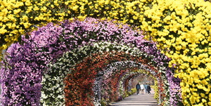 [���䴺��] ���ο� ��ȭ �ͳ�