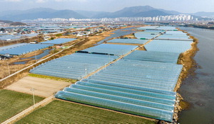 ������ �Ϸ� ö�� ��ü������ �ĺ���, ��ȭ��û�� �ź�