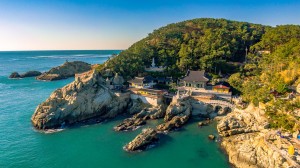 ������ �ص���û硯 �������� 1���� ������ ����