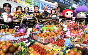 �̹� �ָ� �����丶�� ���� ������