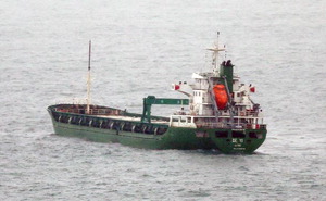 [�λ� ���� ���� 24��] �� �迡 �� ����淡���λ��� ��� ����, �ñ��� ����