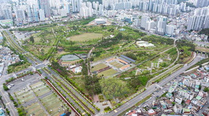 �λ�ùΰ��� 10�⡦���ο� 100�� û���� �׸���