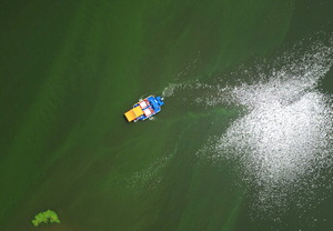 ���� Ȯ�� ���ƶ�