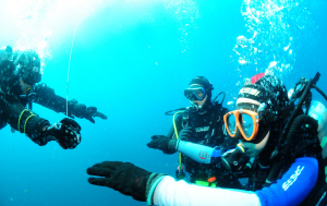 ���������̹��� �� �︪�� �ֹε�