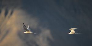 ��10ȸ �������������� ������ ������