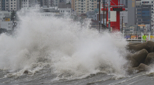 �ο�� �����糭 ���� 11�Ⱓ 2�� ����������� Ȯ�� �ñޡ�