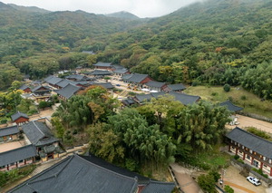 11�� �ھ��ε� ���ʷϰ��������λ� ��ǳ ������ �����