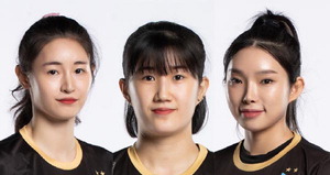 �λ�ü����� �ڵ庼�� ������, ������ ������ ����