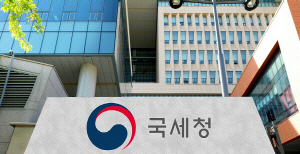 ¡®¿¬¸»Á¤»ê °£¼ÒÈ Àڷᡯ 30ÀϱîÁö ½Åû