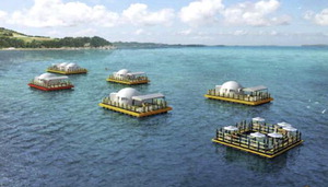 �ٴ��� ǳ�¹��� ���� ���� ���? �ػ󳬽��� ���� ���� ���� ����