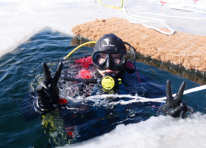 ���� 17��, ���� �� ������� ķ�� ����