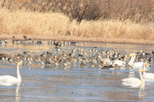 ����, �װ��� ���� �浹 ���� ���� ÷�� �ü� ���� ��ü�� ��� ���� ����