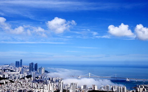 �λ� ���ȯ�� �߱ݼ�, �۳� ��ü������ ����