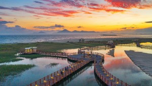 ´Ù´ëÆ÷ Àϸô¼ ÇØ¿î´ë ÀÏÃâ±îÁö¡¦°¥¸Ë±æ ¹ã»õ °È°í Áñ°Ü¿ä