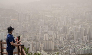 �߱��� Ȳ�����ǡ�����ũ �� ������