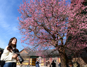 [�ڼ����� ��] ���� ���� ȫ��ȭ