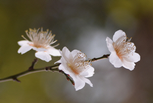 [�ڼ����� ��] ��ȭ�� �Բ� ���߾� �ϳ��� ���⼼��